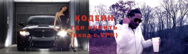 индика Протвино