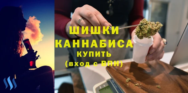 индика Протвино