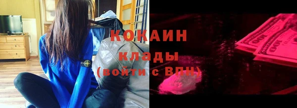 индика Протвино