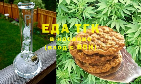 индика Протвино