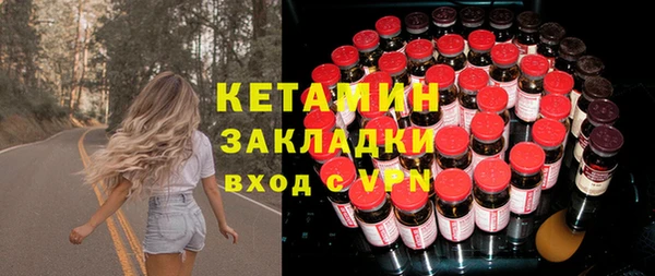 индика Протвино