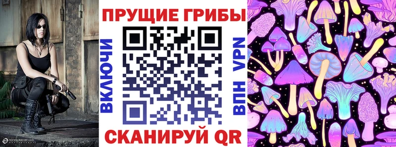 Псилоцибиновые грибы Cubensis  Семикаракорск 