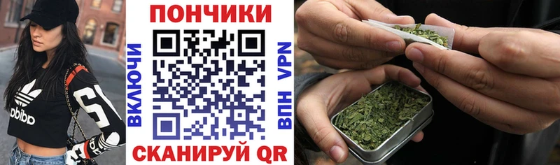 Каннабис план  дарнет шоп  Семикаракорск 